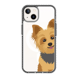 2267-iphone-13-golden-case-magsafe-compatible-transparent-black