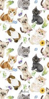 6176 Kittens and Flowers